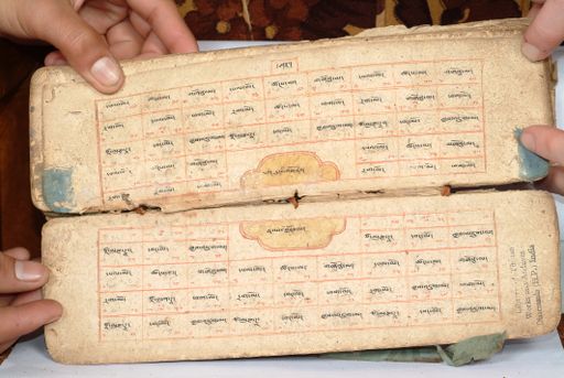 canvas: 1558fr_LTWA_800