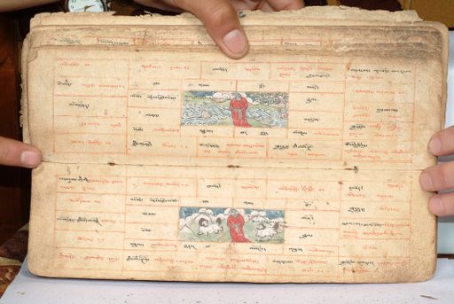 canvas: 1558dg_LTWA_800