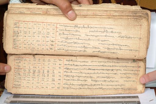 canvas: 1558dx_LTWA_800