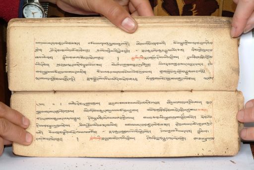 canvas: 1558bx_LTWA_800