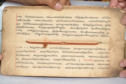 canvas: 1558k_LTWA_800