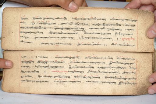 canvas: 1558q_LTWA_800