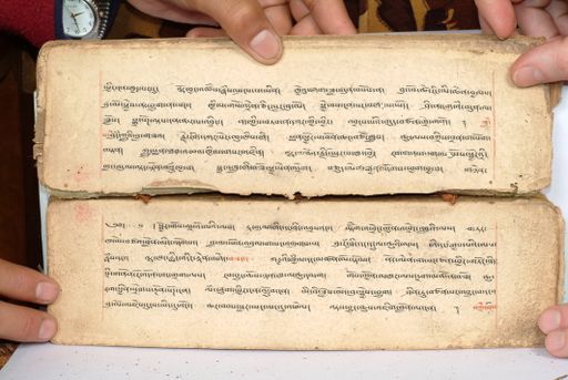 canvas: 1558bl_LTWA_800