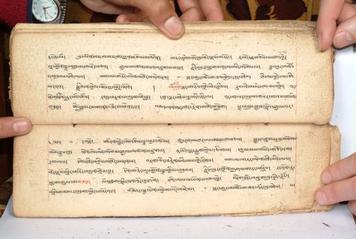 canvas: 1558ca_LTWA_800