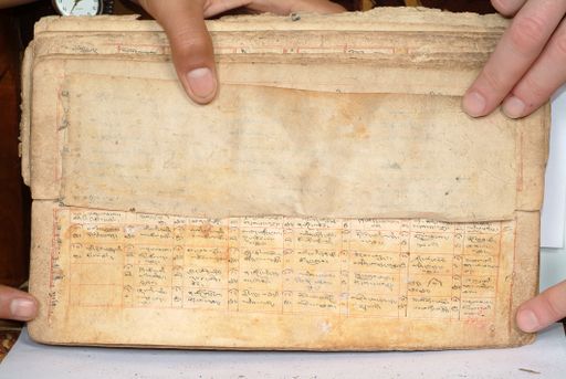 canvas: 1558dl_LTWA_800