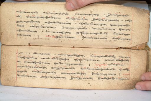 canvas: 1558v_LTWA_800