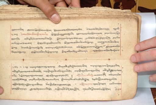 canvas: 1558fc_LTWA_800