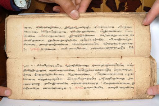 canvas: 1558au_LTWA_800