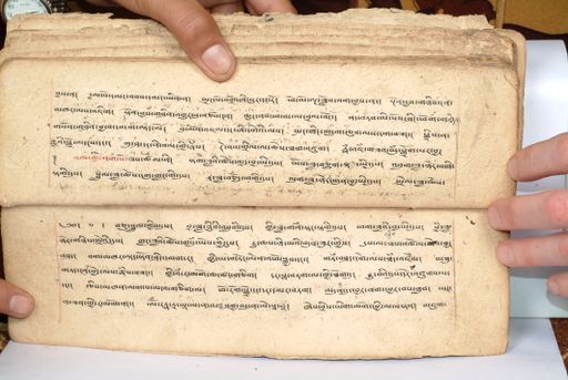 canvas: 1558es_LTWA_800