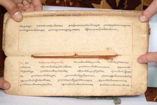 canvas: 1558fy_LTWA_800