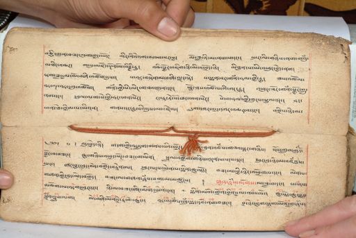 canvas: 1558ad_LTWA_800