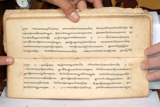 canvas: 1558cq_LTWA_800