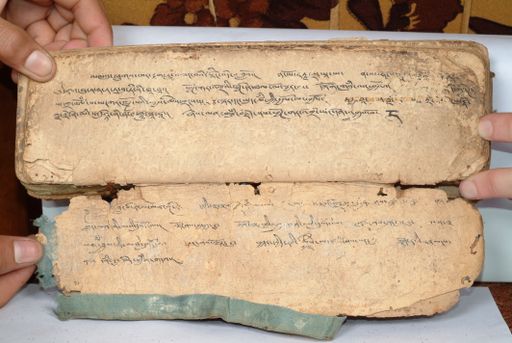 canvas: 1558gg_LTWA_800