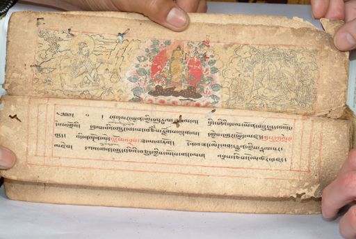 canvas: 1558c_LTWA_800