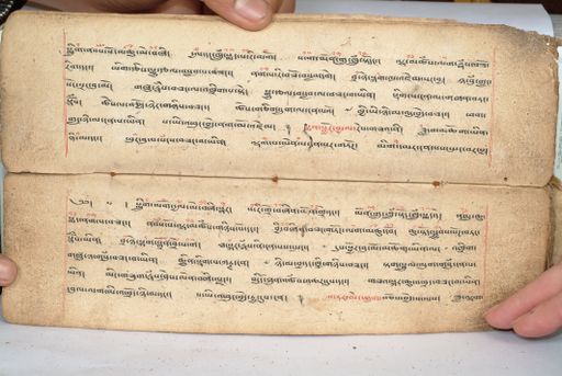 canvas: 1558x_LTWA_800