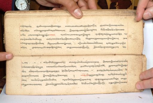 canvas: 1558by_LTWA_800