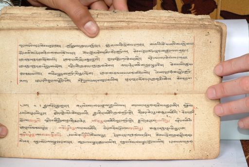 canvas: 1558fb_LTWA_800