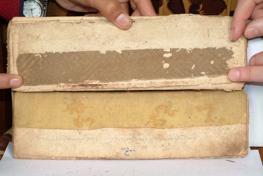 canvas: 1558ce_LTWA_800