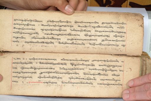 canvas: 1558al_LTWA_800