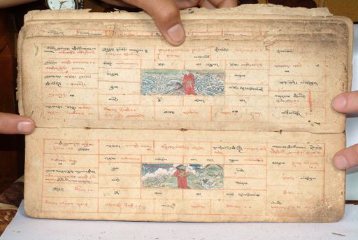 canvas: 1558dd_LTWA_800