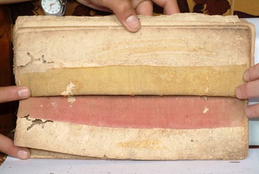 canvas: 1558cx_LTWA_800