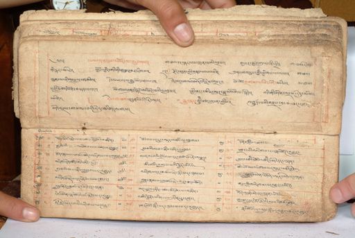 canvas: 1558dk_LTWA_800