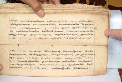 canvas: 1558ez_LTWA_800