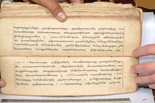 canvas: 1558el_LTWA_800