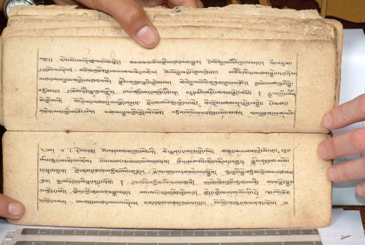 canvas: 1558eb_LTWA_800