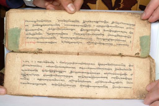 canvas: 1558ao_LTWA_800