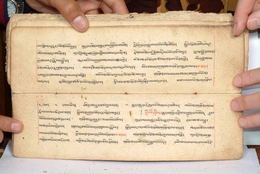 canvas: 1558cj_LTWA_800