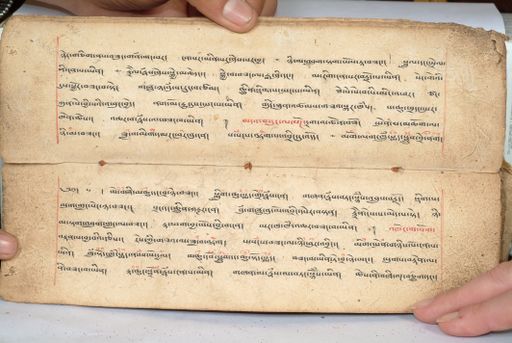 canvas: 1558ab_LTWA_800