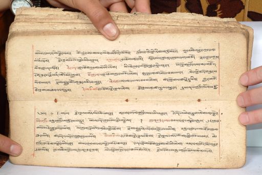 canvas: 1558fe_LTWA_800