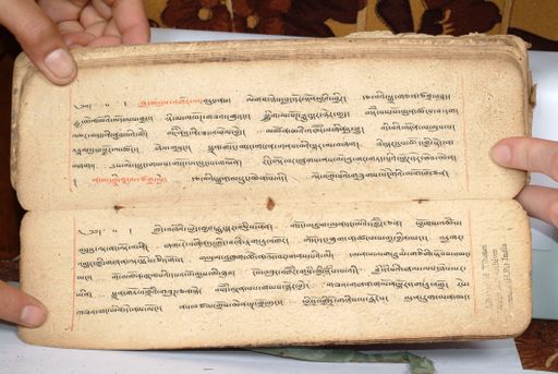 canvas: 1558fx_LTWA_800