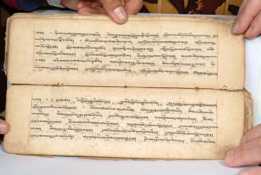 canvas: 1558ap_LTWA_800