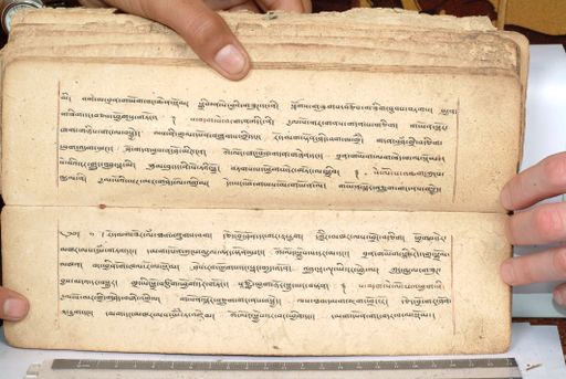 canvas: 1558ef_LTWA_800