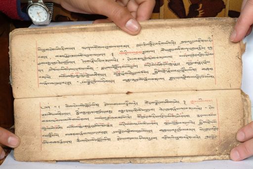 canvas: 1558az_LTWA_800