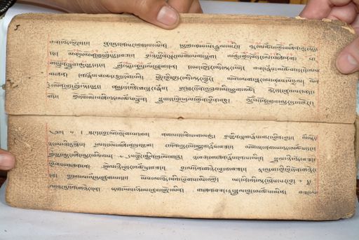 canvas: 1558l_LTWA_800