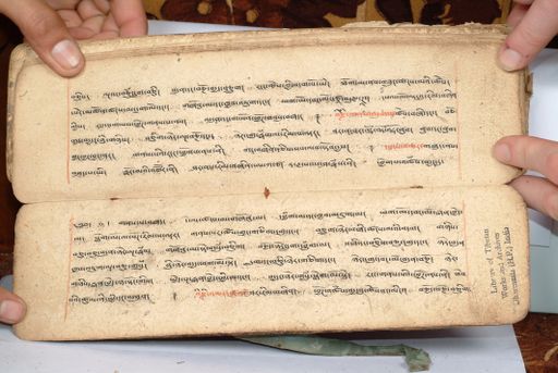 canvas: 1558fv_LTWA_800