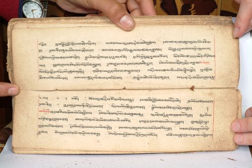 canvas: 1558bu_LTWA_800