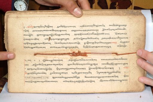 canvas: 1558bt_LTWA_800