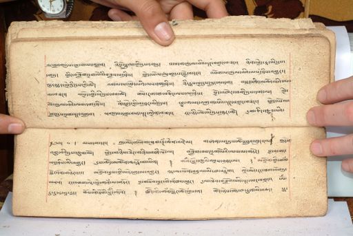 canvas: 1558ct_LTWA_800