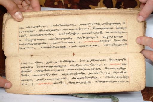 canvas: 1558fw_LTWA_800