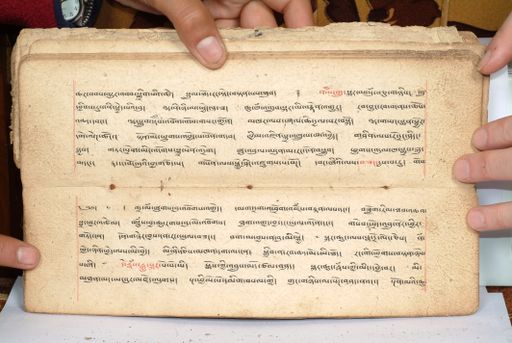 canvas: 1558cn_LTWA_800