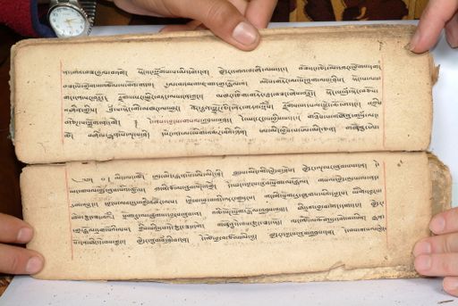 canvas: 1558bh_LTWA_800