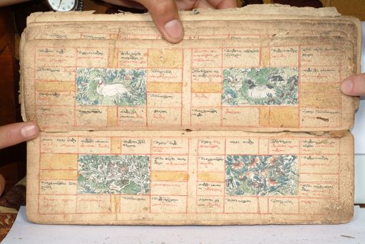 canvas: 1558db_LTWA_800