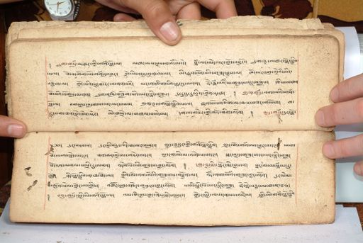 canvas: 1558cv_LTWA_800