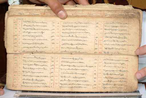 canvas: 1558dt_LTWA_800