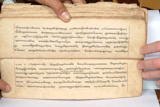 canvas: 1558ep_LTWA_800