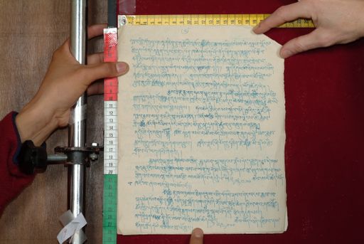 Library of Tibetan Works and Archives (LTWA) ID 3739 (1556_LTWA_798)